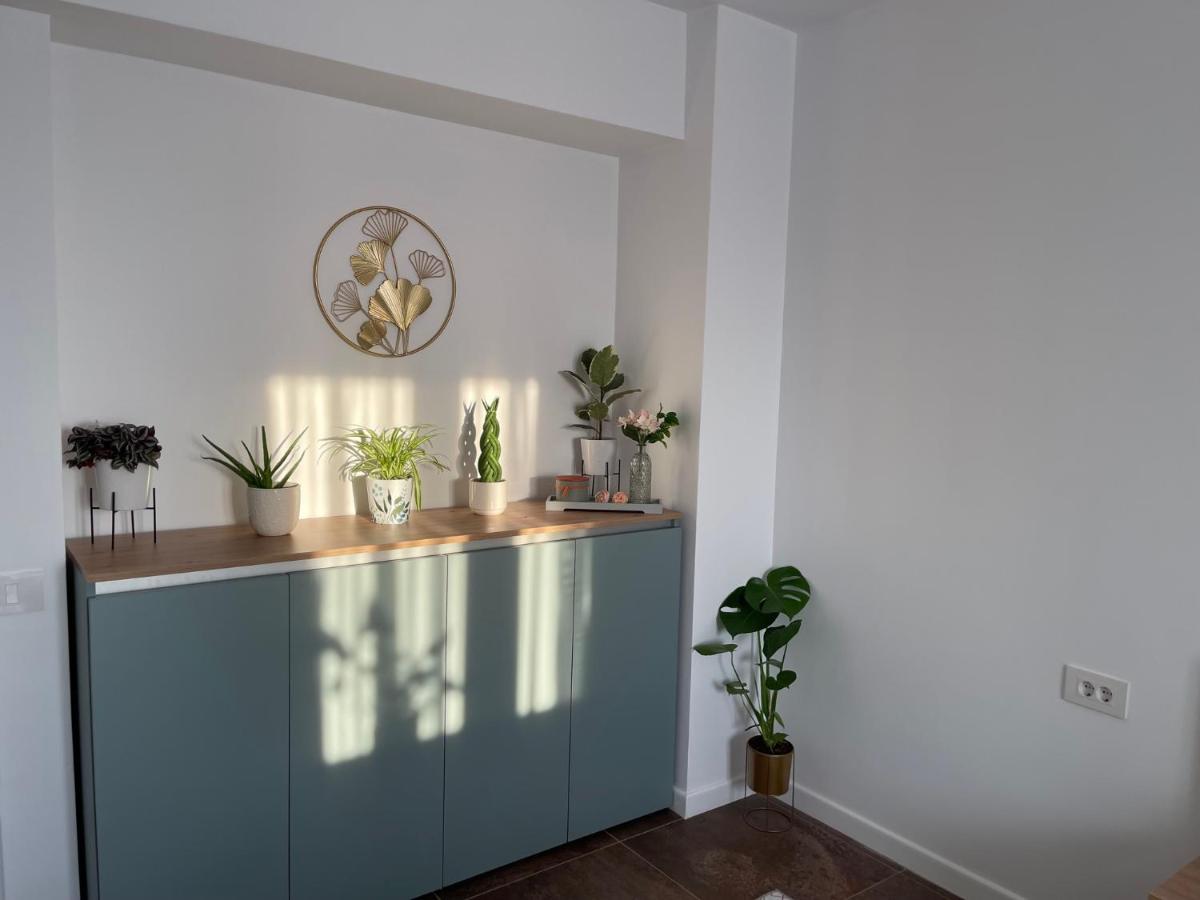 Talida'S Apartment Colorful And Brightnes Oradea Exterior photo
